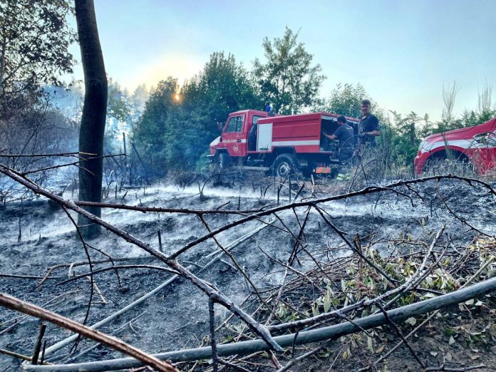 Vdf Incendio