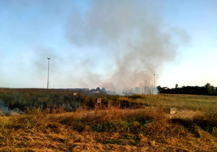 Un estate tranquilla a Roma, rispetto alla precedente del 2022, che ha visto un vasta distruzione di aree verdi a causa degli incendi di interfaccia